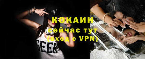 mdpv Козловка