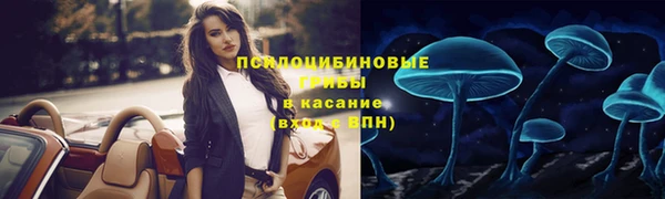 герыч Алзамай